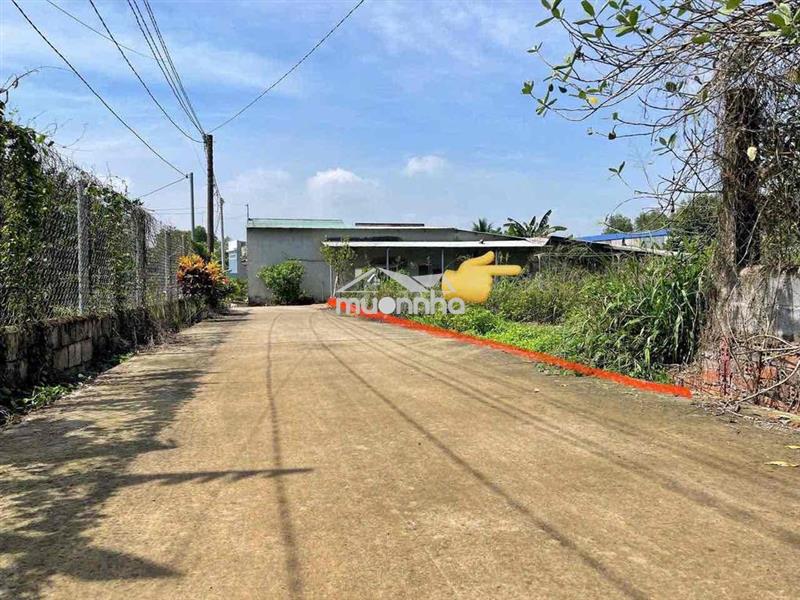Cần bán gấp 1000m2 sổ riêng thổ cư 100%, dân cư hiện hữu. hỗ trợ vay