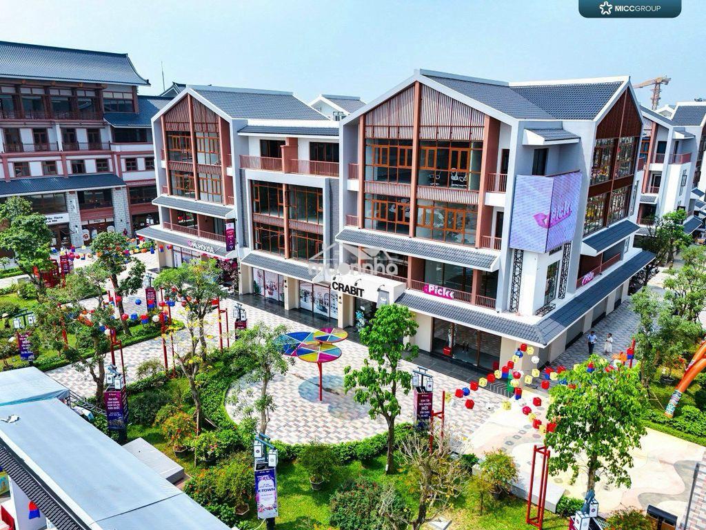 Gấp gấp song lập 150m giá 19 tỷ đường trục chính 20m vin ocean park 2 - 3