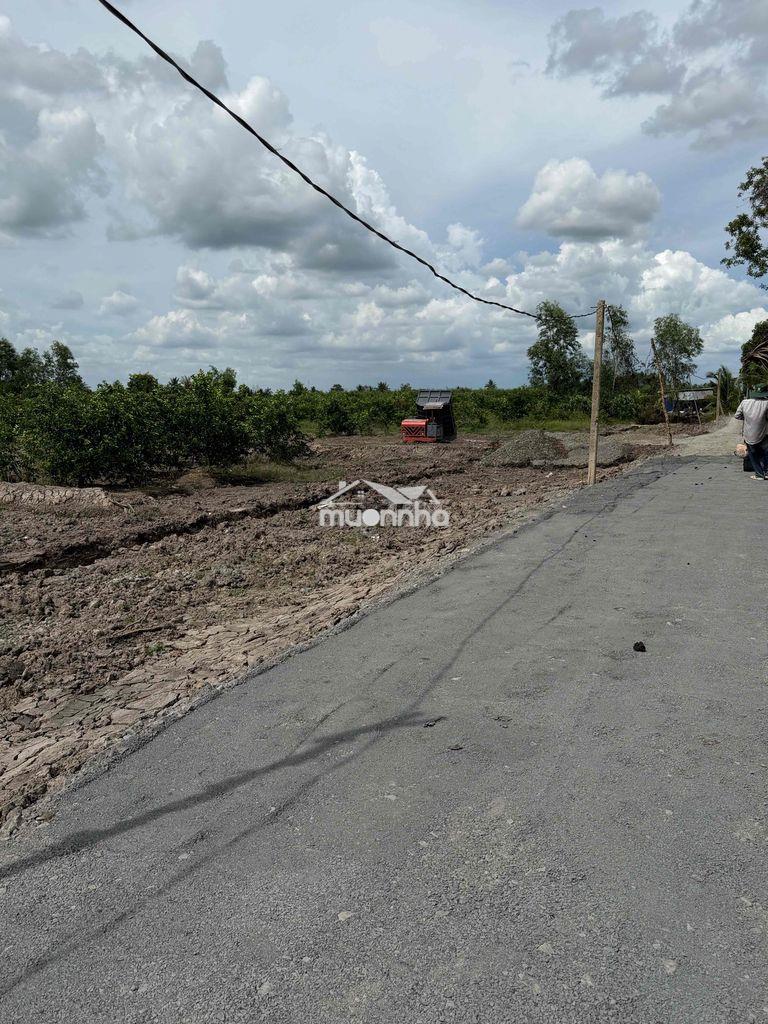 500m2 đất vườn trồng chanh ,thạnh hoà ,bến lức long an ,kế bên tphcm