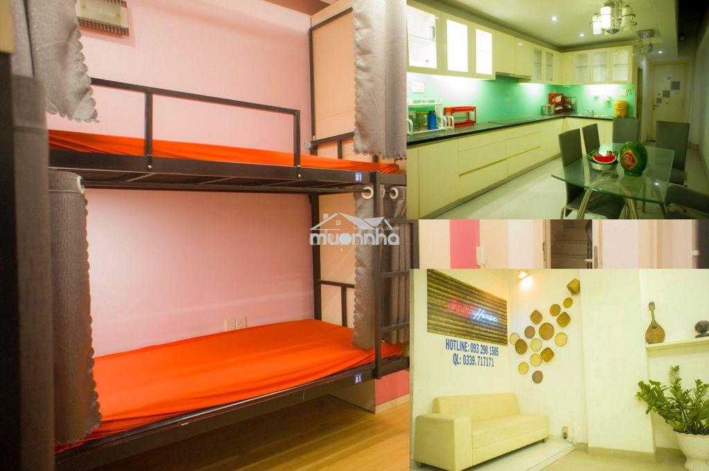 Phòng ghép đại học y dược ump hồng bàng sinh viên văn phòng ngành y - 2