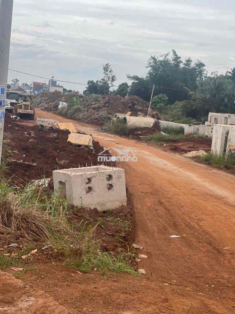 150m2 ngay vành đai 1 full thổ cư p phú bình lk - tp đồng nai - 4