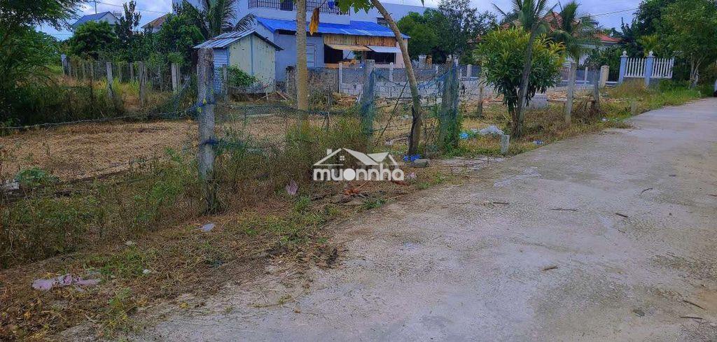 Đất nam thành 132m2 ngang 10m gần nam kỳ khởi nghĩa chỉ 300m - 3