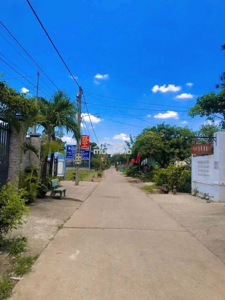 Chính chủ bán đất 2mt ( xuân tây cũ ), cẩm mỹ, cách dt765 chỉ 50m - 3