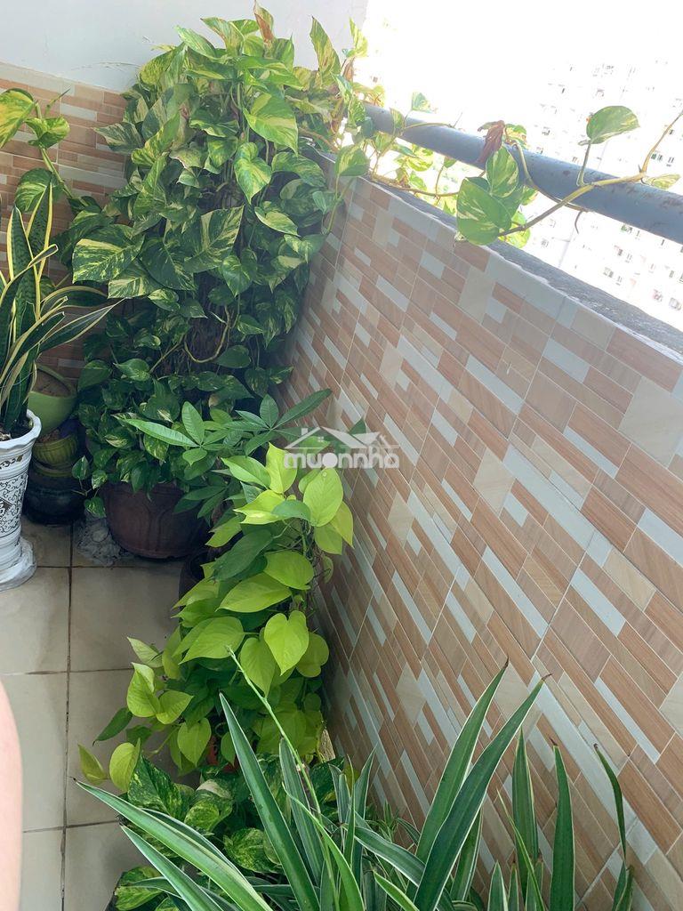 Căn sổ hồng sẳn sang tên luôn,hướng mát,view ngoài giá 1.460 tỷ