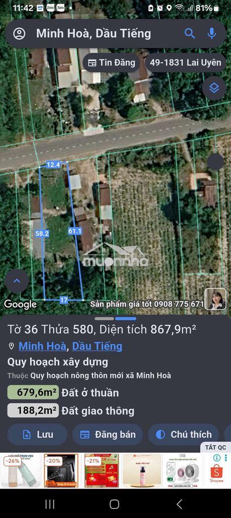 Bán hoặc cho thuê