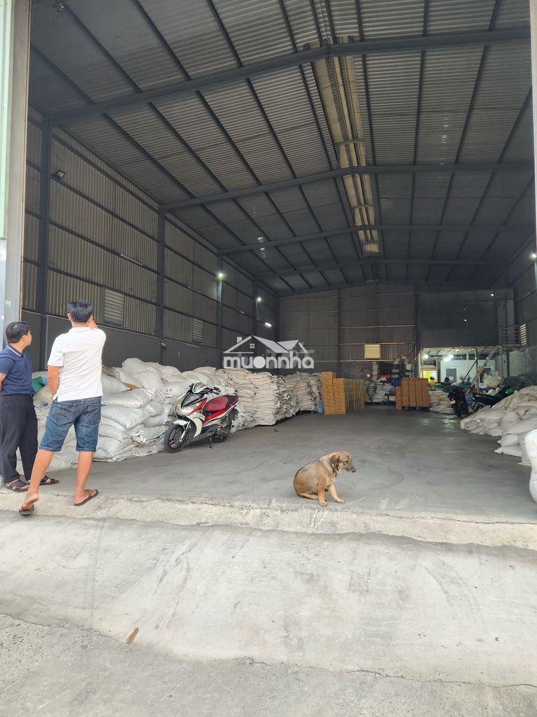 Cho thuê nhà xưởng 360m2 vừa hết hạn hợp đồng tại phường an phú đông - 3