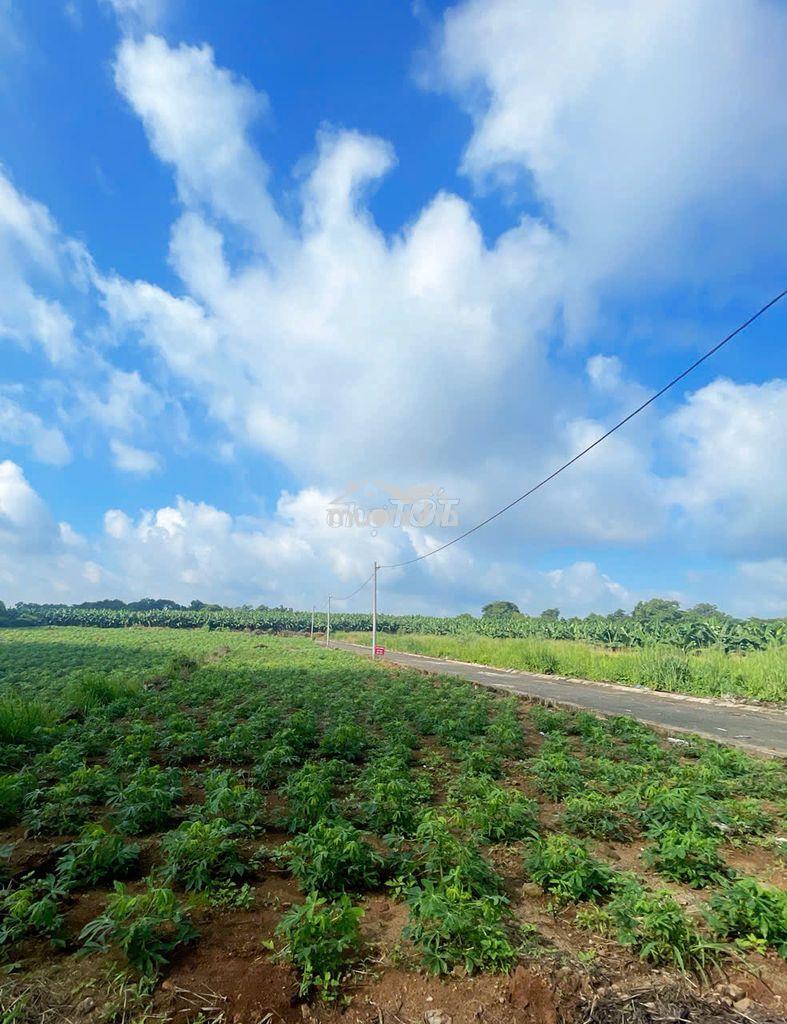 Đất đông hòa, trảng bom- sổ riêng