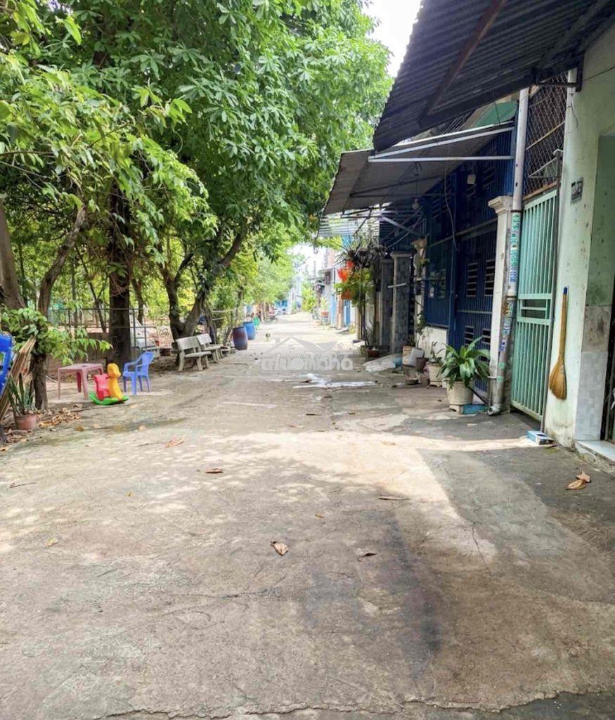 Bán gâp trong tuần - 2
