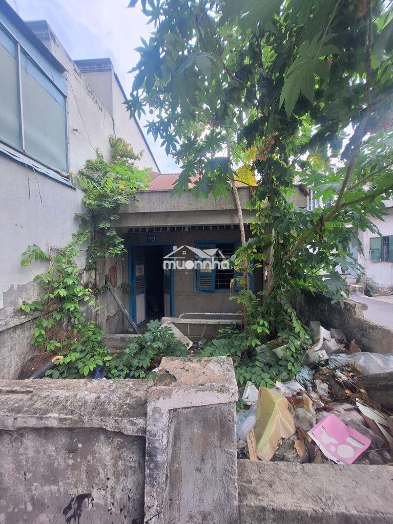 Bán nhà nát đường kha vạn cân, trường thọ, thủ đức. 72m2, shr - 3 tỷ