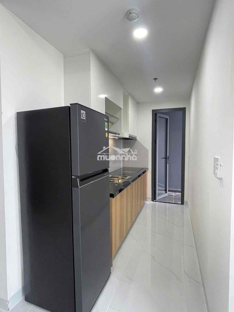 Cho thuê căn hộ phú mỹ c2  p. phú mỹ , tp mới , bình d - 3