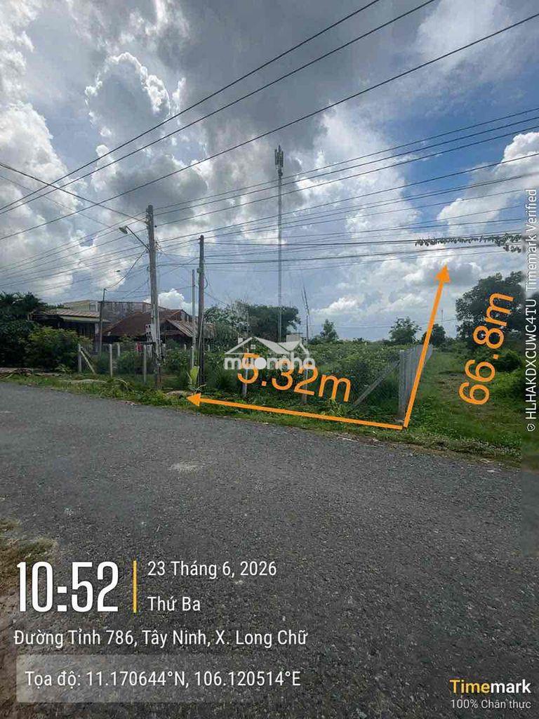 Ngân hàng thanh lý tài sản tại : xã long chữ, huyện bến cầu, tây ninh - 3