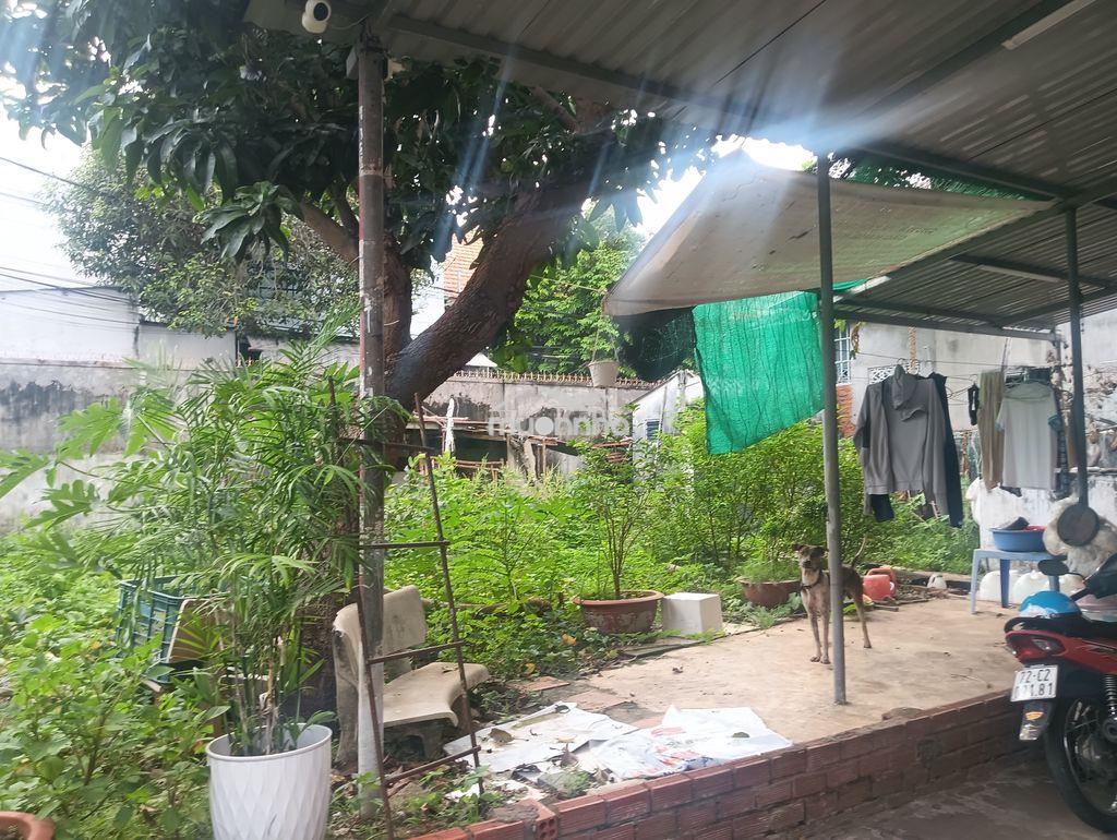 Cho thuê nhà vườn đa năng 4 trong 1 (ở+kinh doanh+kho+nông trại)_318m² - 3