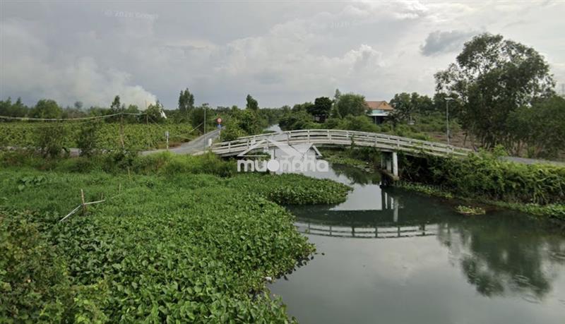 Bán gấp lô đất 10.000m² (1 hecta) tại bến lức - long an giá 4,3tỷ