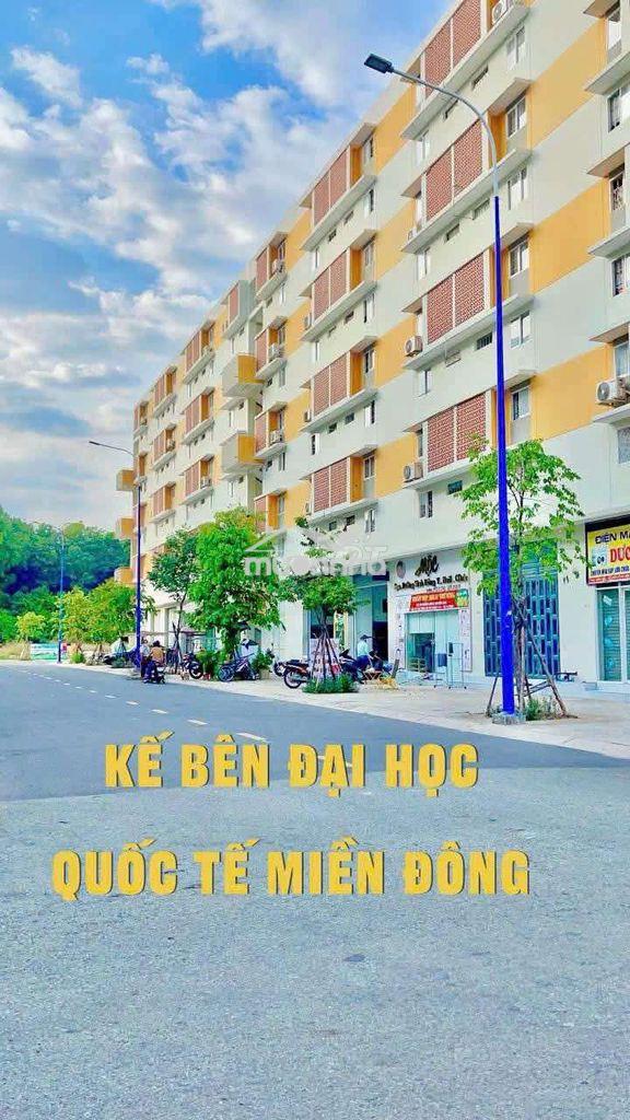 Nhà xã hội định hòa, lầu 3 sổ hồng 480 triệu, sài gòn mua được