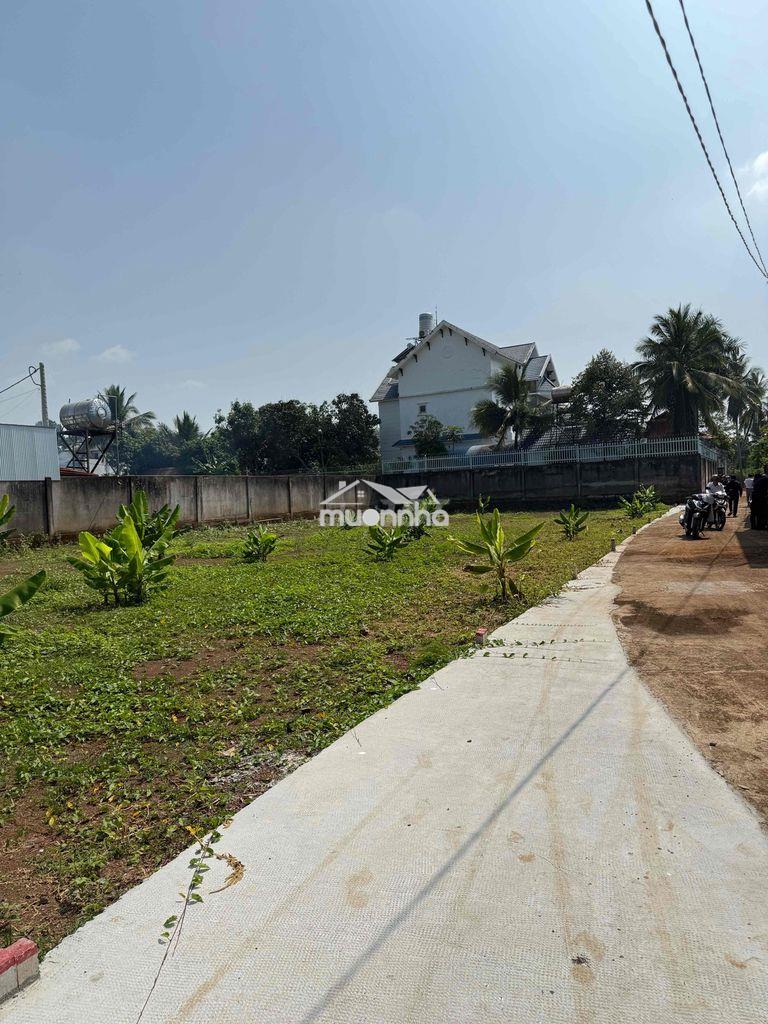 Bán đất trung tâm long khánh - tp- đồng nai - 2