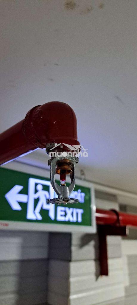 Phòng tách bếp- chính chủ- an dương vương giao võ văn kiệt - 4