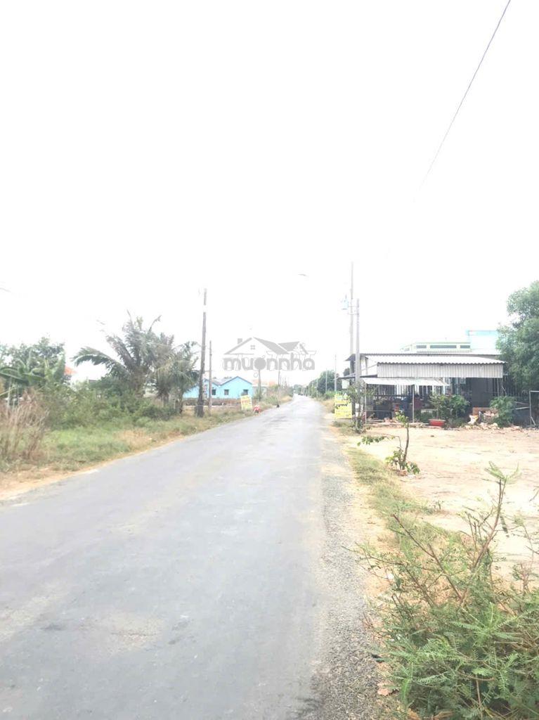 Đất lúa 1000m2 mt đường 7m khu đô thị long hựu giá rẻ 2 tỏi 5