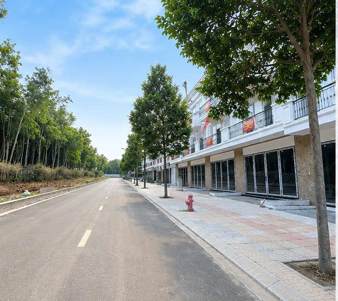 Bán nhà mặt tiền đường 32m - 4