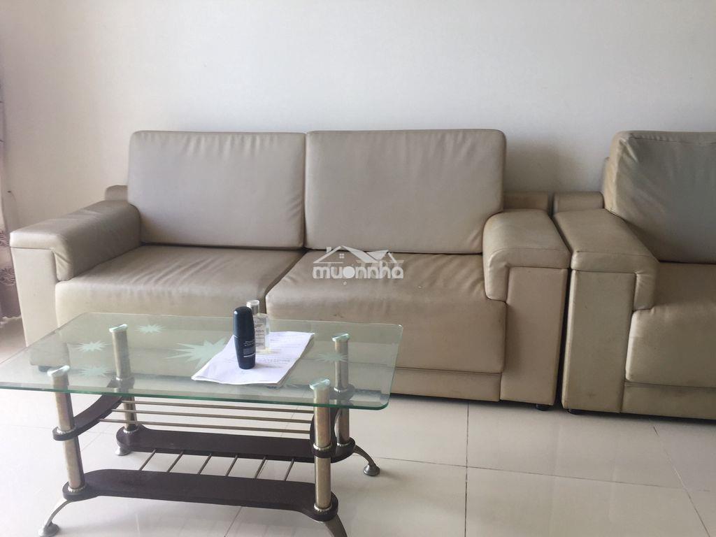 Cần cho thuê căn hộ hoa sen, lạc long quân , q.11 - 3