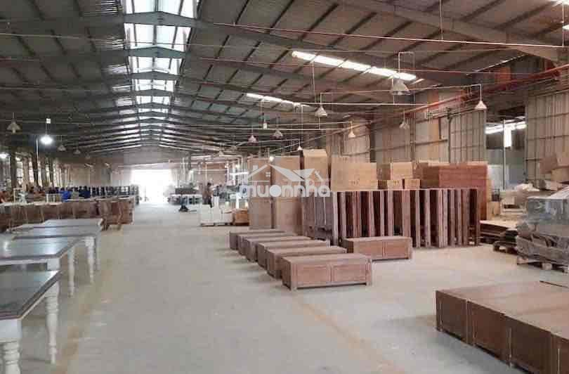 Cho thuê xưởng tân uyên bình dương 6000m2 - 3