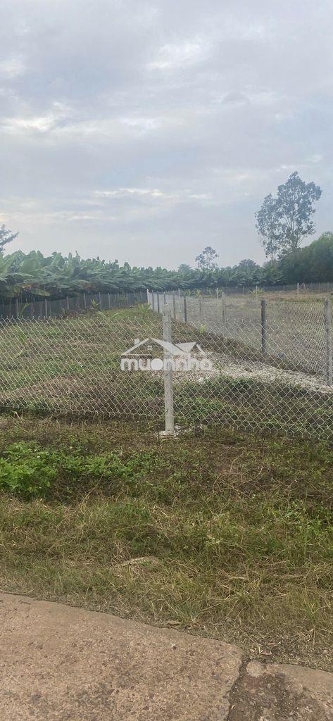 Bán 1623m2 đất xã sông ray phủ hồng - 2