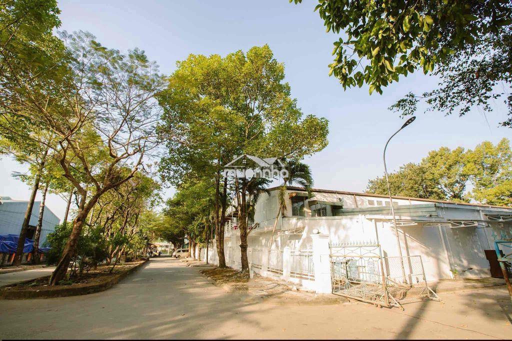 Cho thuê kho xưởng tổng dt 5000m2. phù hợp mọi ngành nghề, đẹp, hiếm - 3