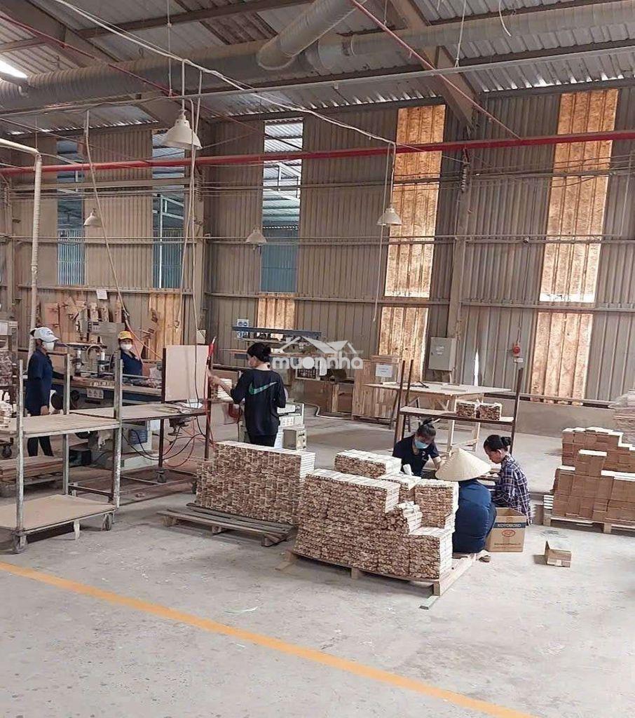 Cho thuê xưởng giá rẻ khánh bình tân uyên - 3