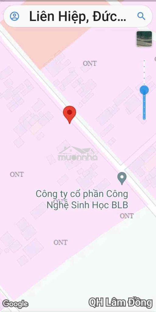 Bán đất đẹp cách sân bay quốc tế liên khương 3km - 3