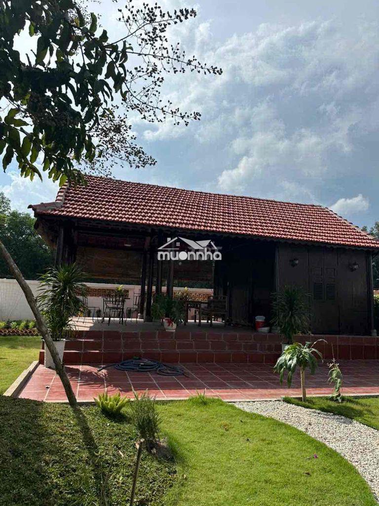 Cho thuê nhà nghĩ hoà lợi bến cát bình dương - 3