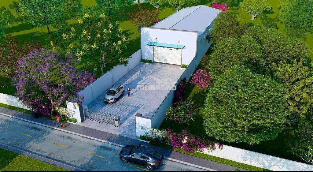 Xưởng chánh phú hoà 900m giá 30 triệu - 3