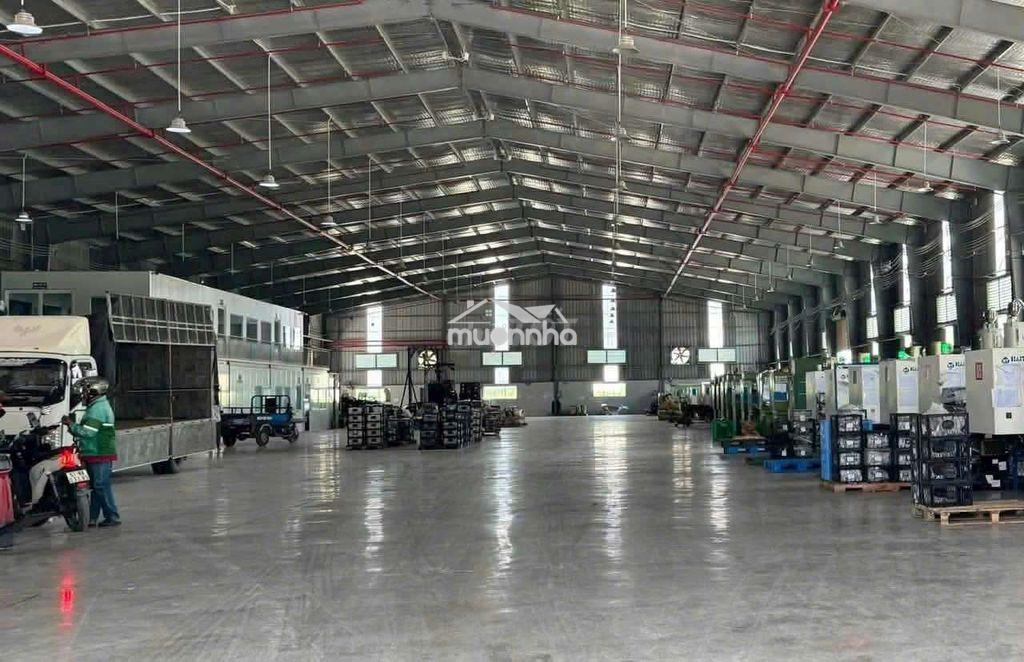 Cần cho thuê nhà xưởng 1700m 150tr tại thuận an bd. giấy tờ đây đủ - 3