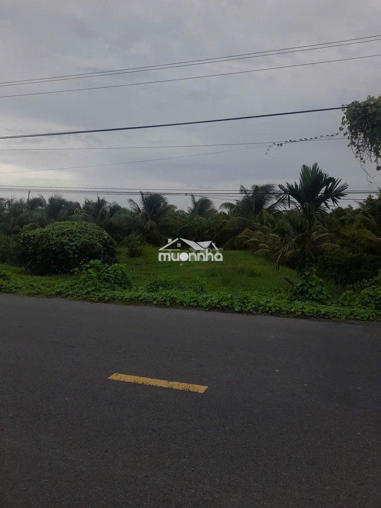 Bán đất mặt tiền đường kinh 15 – xã hòa ân, huyện cầu kè, trà vinh - 4