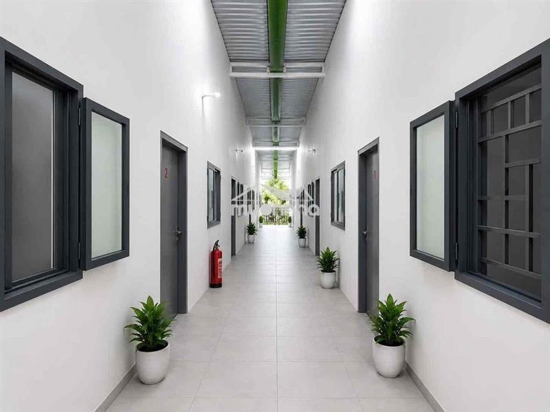 Khai trương phòng trọ mới - cho nuôi thú cưng - có nhận xe điện