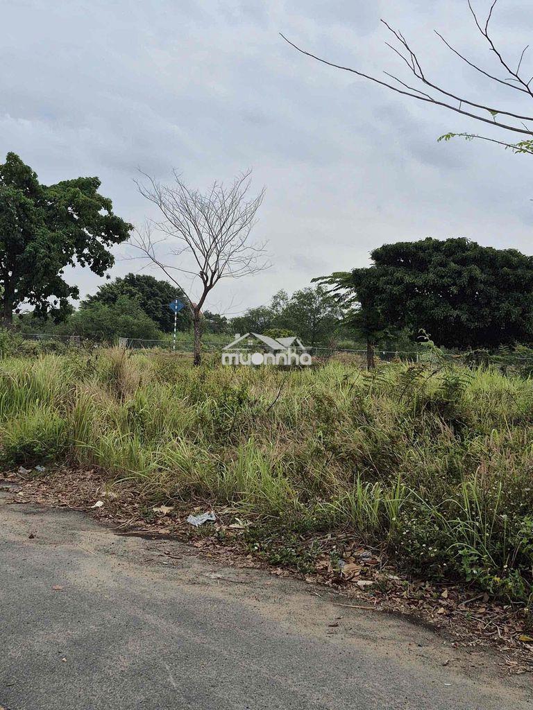 Đất dreamland city long hưng 100m² lô thương mại cạnh izumi, aqua city - 3