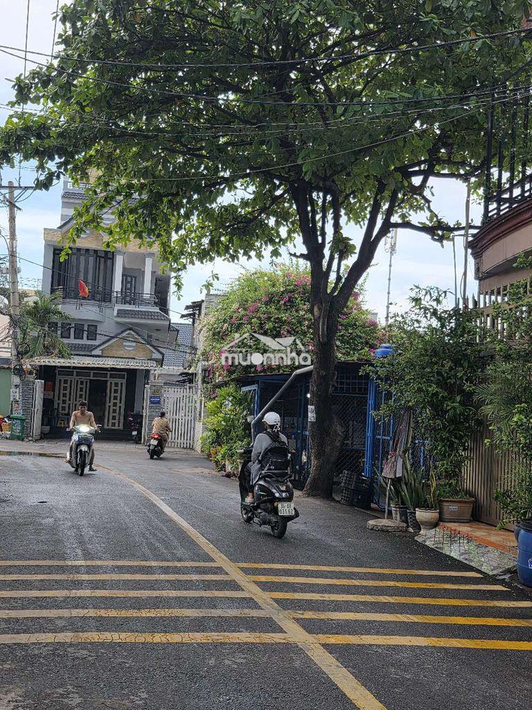 Chủ bán nhanh 3 cụm tòa nhà chdv 53 phòng có bán lẻ từng tòa quận 12