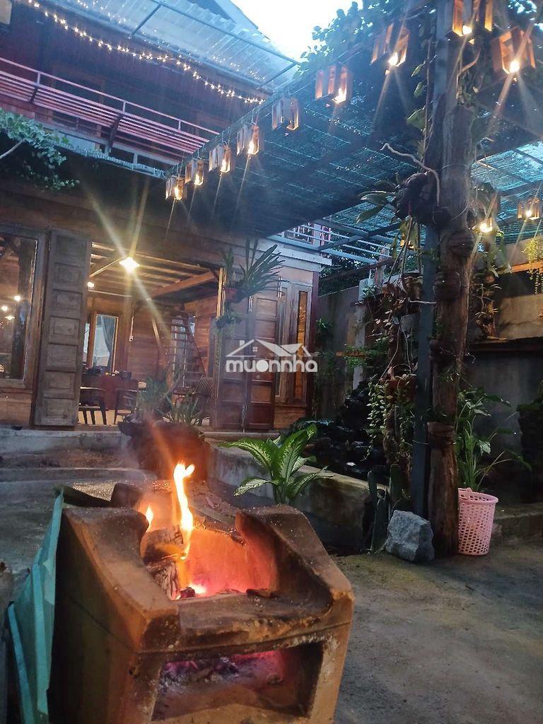 Gả villa gô, 2mt kinh doanh ngay - 4