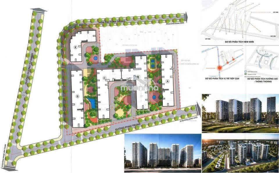 Chủ đầu tư giữ chỗ chính thức căn hộ bcons đường phan trung, biên hòa - 3
