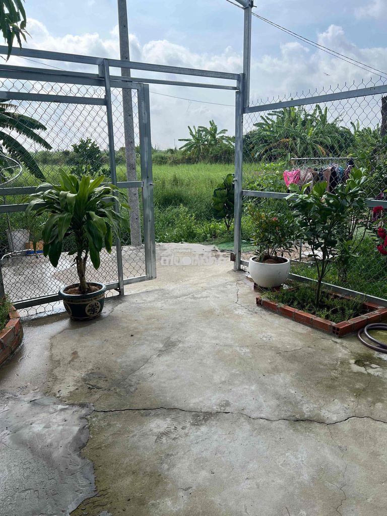 Nhà vườn cho thuê 3 tr500 - 2