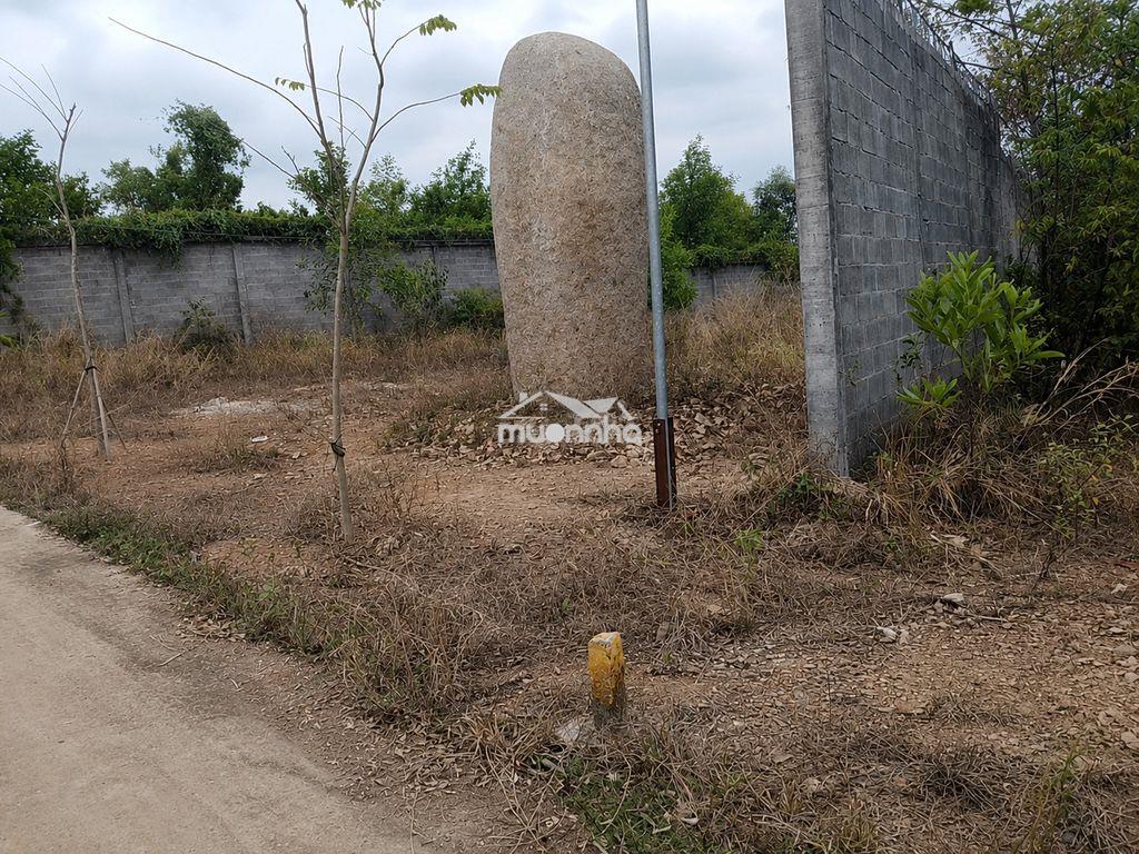 Bán gấp - định quán, đồng nai - 12 miếng nền - 1.666,7m2 - 13,5 tỷ - 4