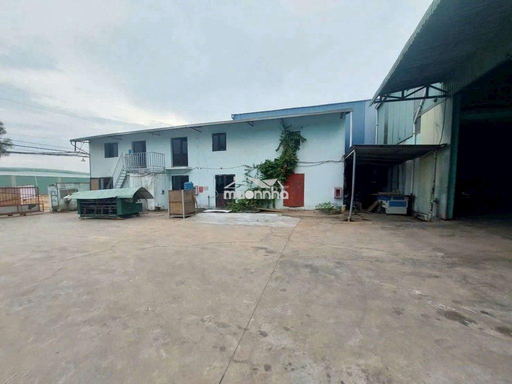 Cho thuê xưởng 3500m2.pccc vách tường,đường xe công.khánh bình ,tân uy - 3
