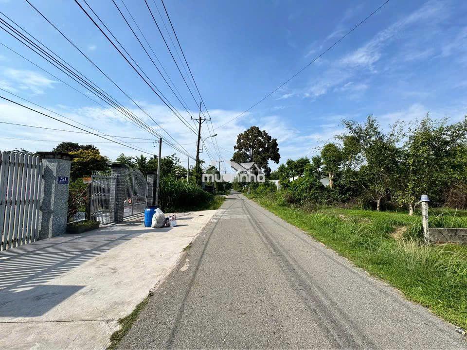 [Bỏ phố về vườn] 280m² tân an hội, củ chi-sổ mới két, đón sóng đầu tư! - 3