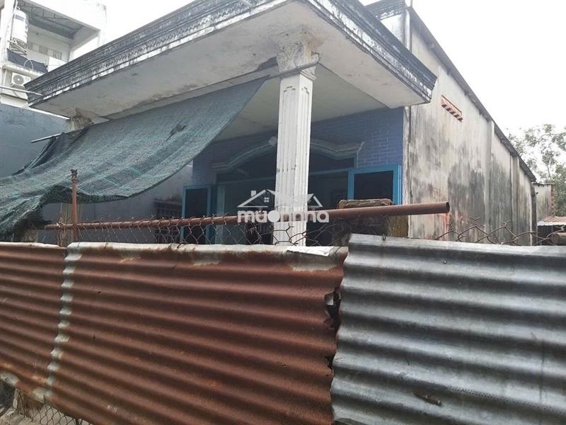 Cho thuê nhà và đất mặt tiền hóc môn