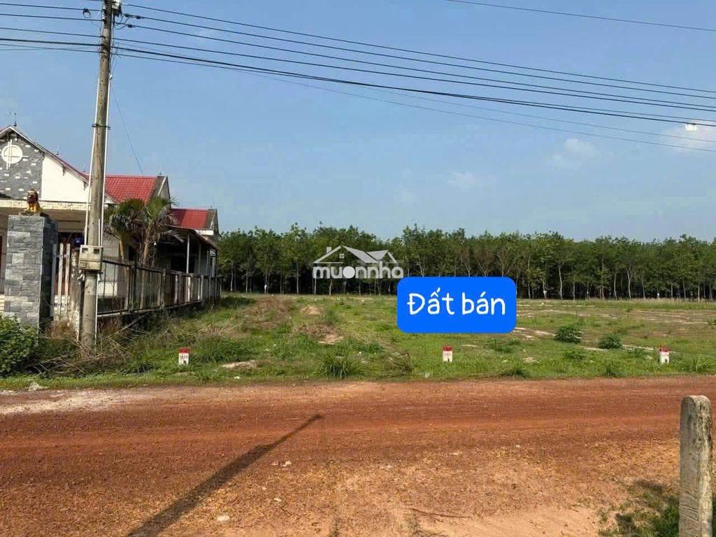 Đất thổ cư tphcm (dầu tiếng cũ)| 206m² có sẵn 100m² thổ cư - 2