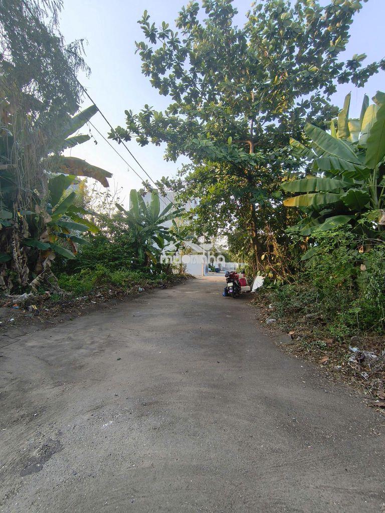 Bán đất nguyễn duy trinh – 80m² – hẻm 8m – giá 4,1 tỷ - 2