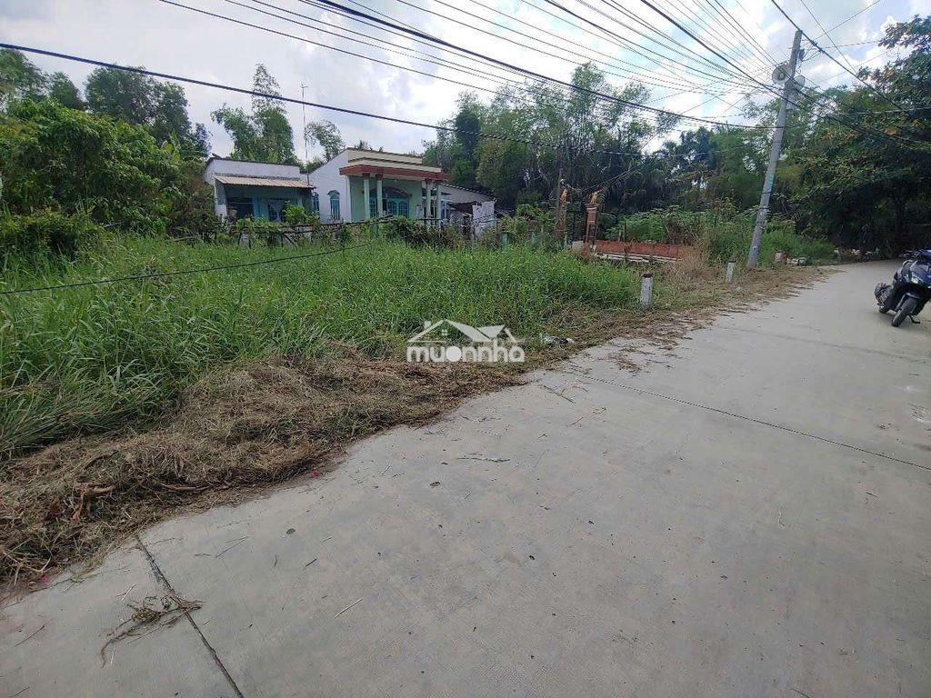 Nền đất 2 mặt tiền đường xe hơi, sổ hồng riêng, 232m2, giá 1,5 tỷ - 4
