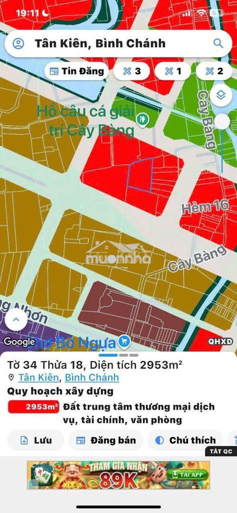 Bán đất trồng cây lâu năm xã tân nhựt ( tân kiên-bình chánh) - 2