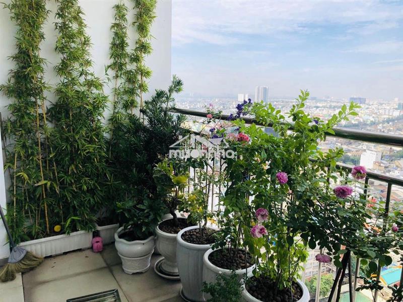 Bán căn hộ chung cư tản đà court, q5, 100m2, 3pn, 5,8 tỷ