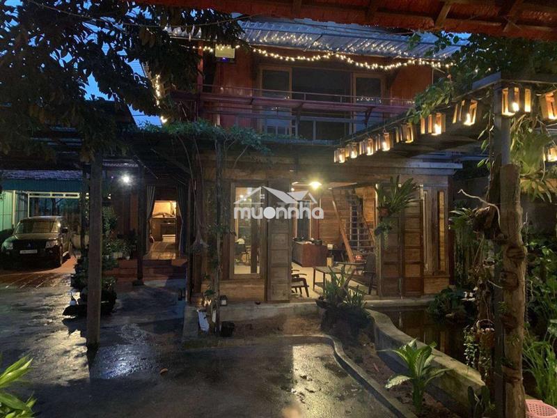 Gả villa gô, 2mt kinh doanh ngay