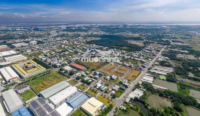 🔥Siêu phẩm 280m2 nền kdc long hậu [bt3-11] shr - gd chính chủ🔥 - 2