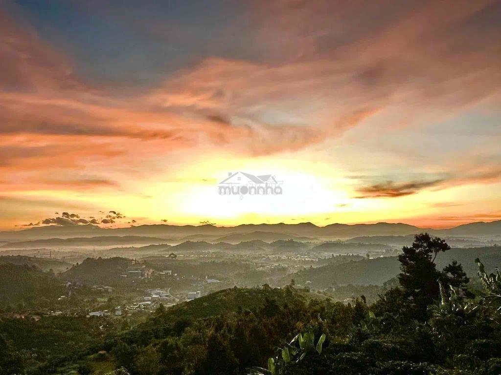 Bán lỗ đất có thổ cư, view săn mây sẵn sầu riêng - 4